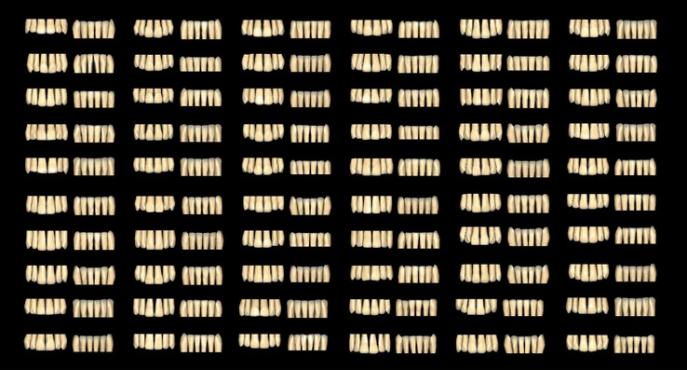 Exocad | Zahnbibliothek