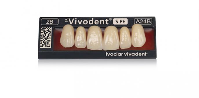 SR Vivodent S PE | Frontzahn