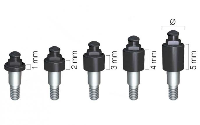 Optiloc | Abutments