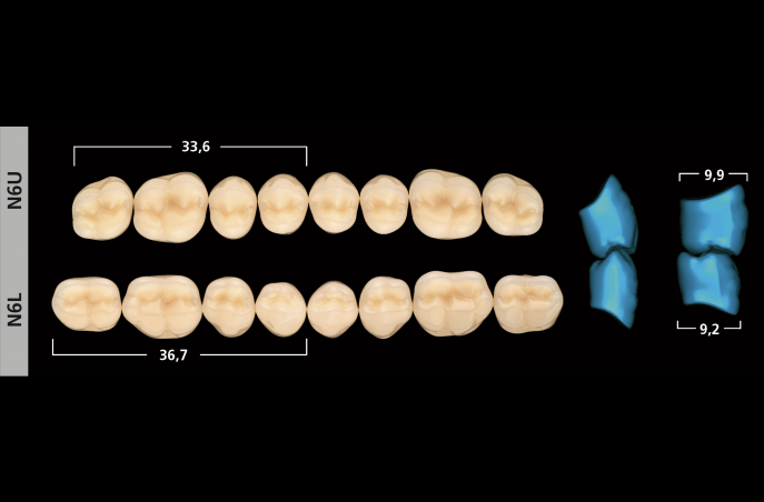 SR Orthosit S PE | Seitenzähnen