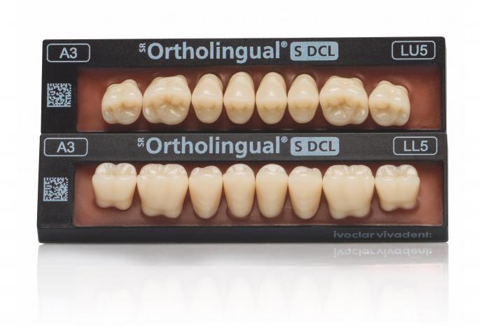 SR Ortholingual S DCL | Seitenzähnen