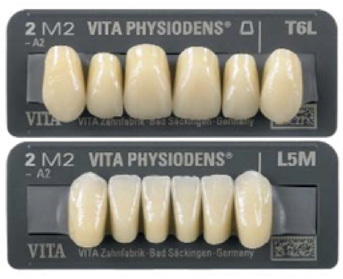 Vita Physiodens 3D | Frontzähne
