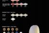Gradia Plus | Gum
