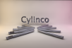 Cylinco | Wurzelstifte Flachkopf