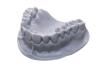 Xip | xDENT201 Gray