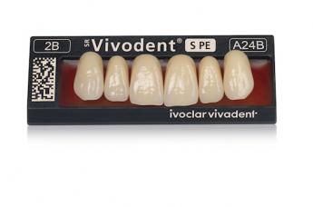 SR Vivodent S PE | Frontzahn