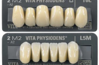 Vita Physiodens 3D | Frontzähne