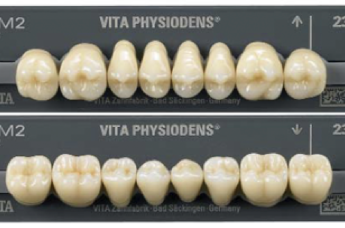 Vita Physiodens 3D | Seitenzähne